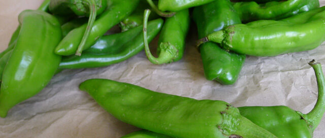 Hatch Chiles Ericka Sanchez