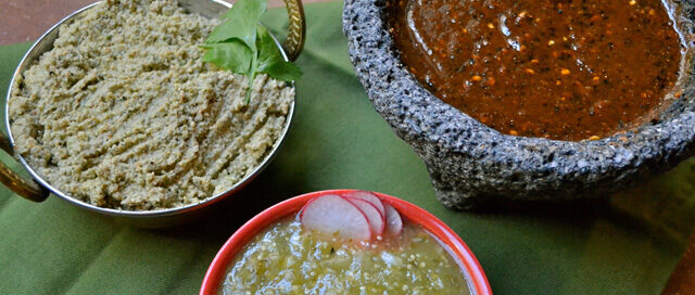 Salsa Trio Natalie Rose