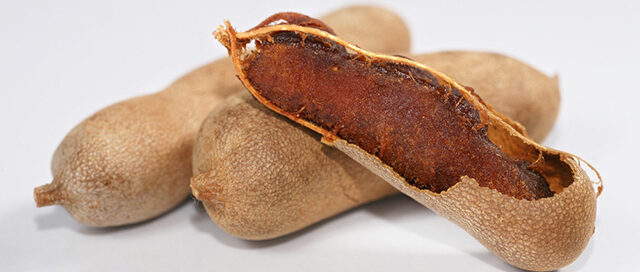 shutterstock_41813254-tamarindo-640