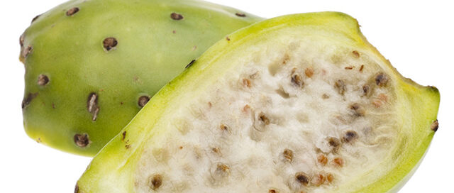 shutterstock_63005788-prickly-pear-640