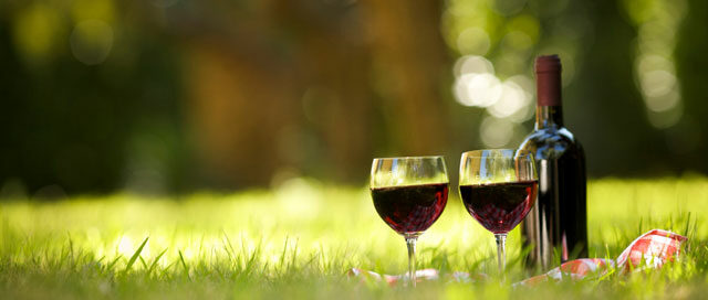 Bonarda: The Argentinean Wine World’s Rising Star Main