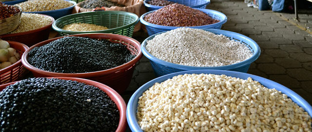 beans-credit-natalie-rose-main-test