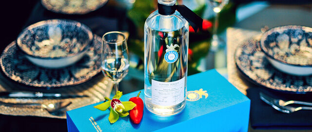 Celebrating Cinco de Mayo with Casa Dragones