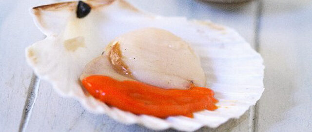 How to Pick the Perfect Scallop