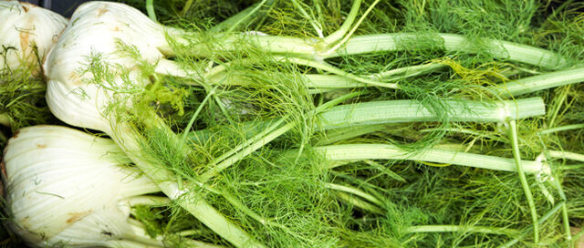 Summer Ingredient Essentials: Fennel