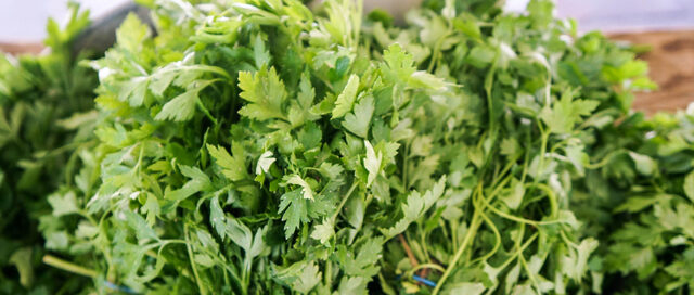 Spring Ingredient Essentials: Parsley