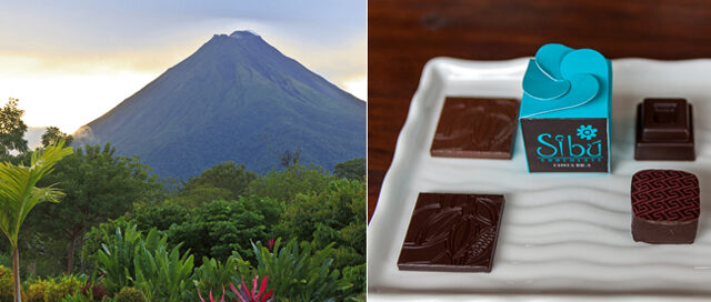 Costa Rica’s Organic Chocolate Pioneer