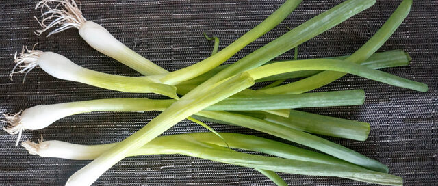 Summer Ingredient Essentials: Green Onions