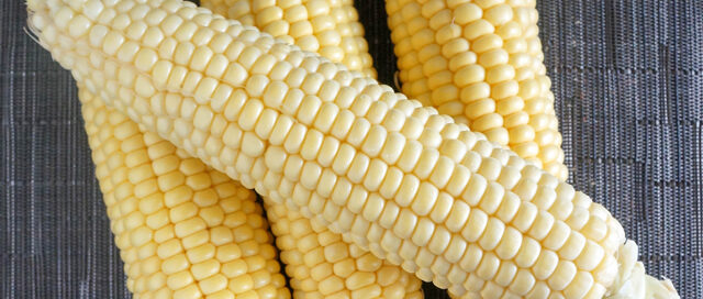Fall Ingredient Essentials: Corn