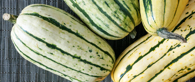 Fall Ingredient Essentials: Delicata Squash