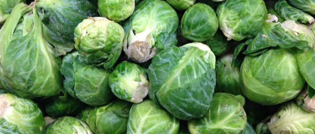 Fall Ingredient Essentials: Brussels Sprouts``