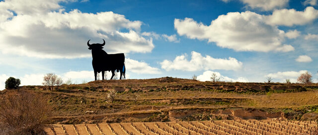 The Six Best Spanish Wines You’ve Never Heard Of