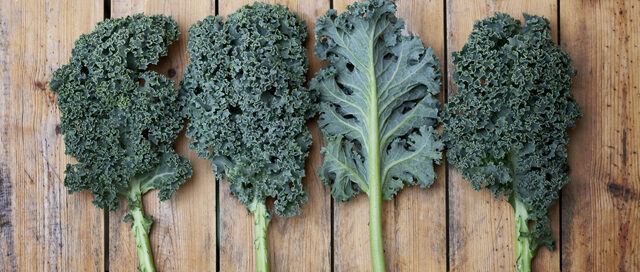 Fall Ingredient Essentials: Kale