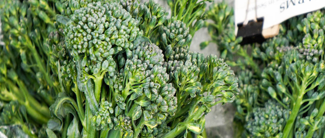 Ingredient Essentials: Broccoli