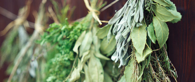 Quick and Easy Guide to Dried Herbs