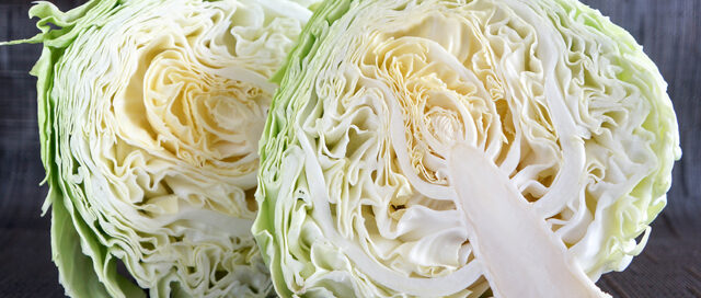 Cabbage