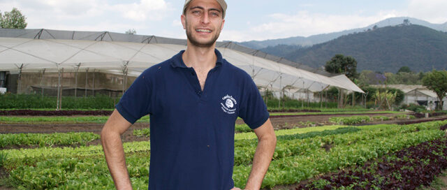 Guatemala Goes Organic