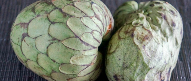 cherimoya-carolyng-gomes-main