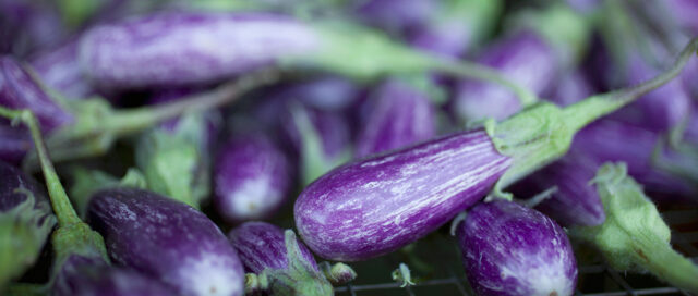 Spring Ingredient Essentials: Eggplant