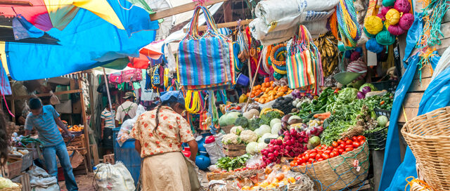 Introduction to: Honduras