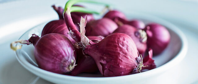 Spring Ingredient Essentials: Onions