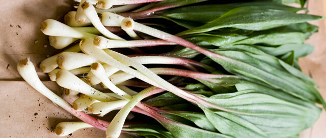 ramps-stockfood-feat-main