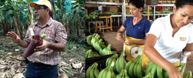 Class in Session: Earth University