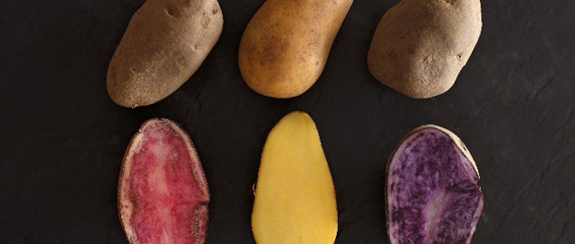 Best Spuds: Crash Course in Peruvian Potatoes!