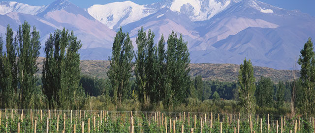 South America Wineries Worth Visiting
