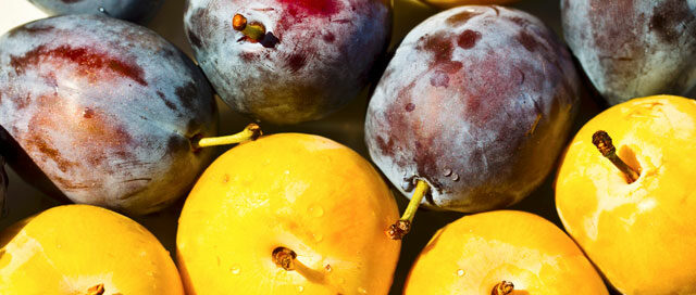 Summer Ingredient Essentials: Plums