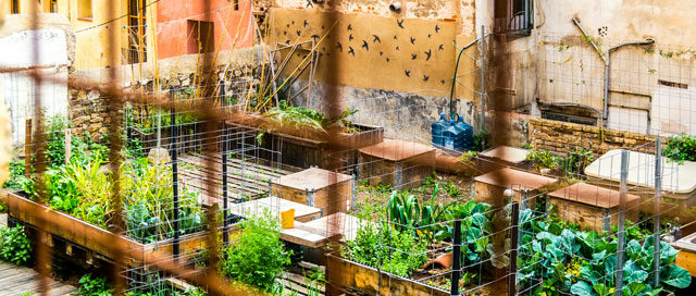 The New Urban Garden
