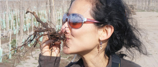 Women Winemakers: Meet Laura Catena