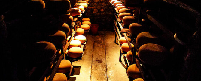 cheese-opener-coen-wubbels