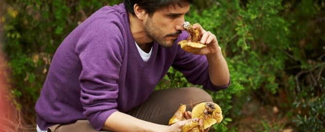 virgilio_martinez-mushrooms