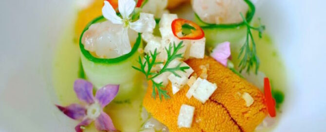 ceviche_project