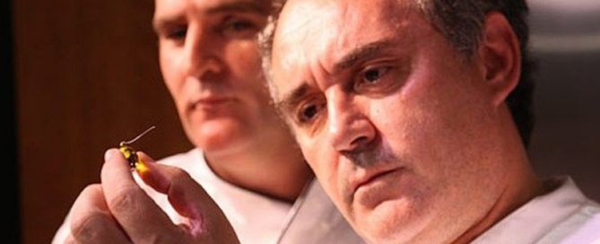 screen_shot_2017-05-10_at_10