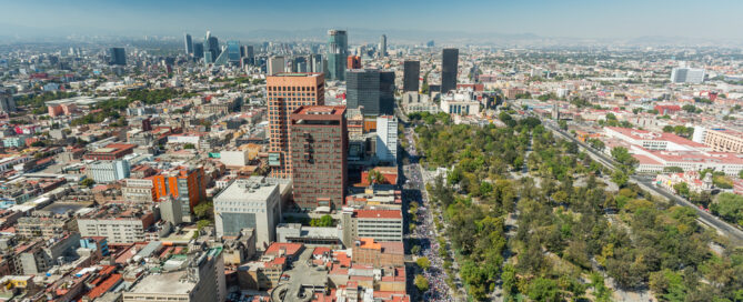 Delicious Market Finds in Mexico City