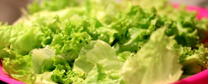 romaine lettuce warning