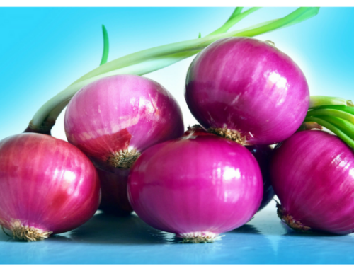 Watch: All About Onions